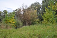 /album/szlovakiai-duna-szakasz/dsc-0209-jpg/