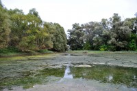 /album/szlovakiai-duna-szakasz/dsc-0218-jpg/