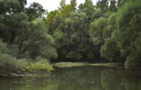 /album/szlovakiai-duna-szakasz/dsc-0230-jpg/