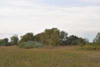 /album/termeszeti-ertekek/dsc-0068-jpg/