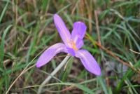 /album/termeszeti-ertekek/dsc-0180-jpg/