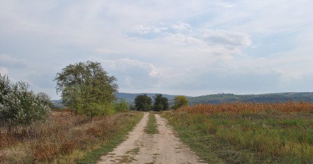 Radványi határút
