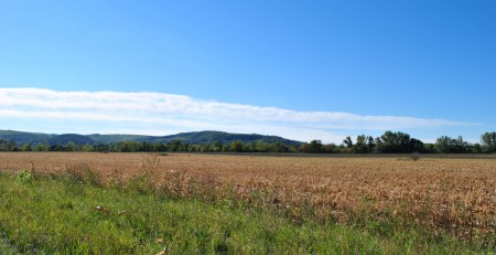 Marcelháza határa, a távolban a Gerecse nyúlványai láthatók